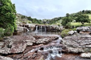 Protea Ridge Waterfall