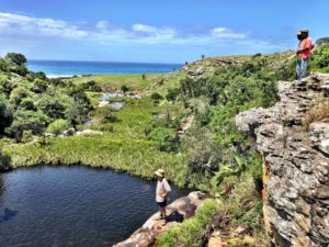 Protea Ridge Hiking