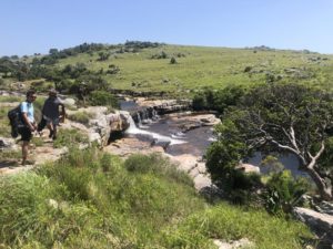 wild coast south africa accommodation protea ridge