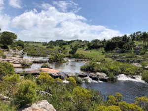 wild coast south africa accommodation protea ridge