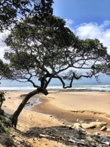 wild coast south africa accommodation protea ridge