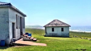 wild coast south africa accommodation protea ridge