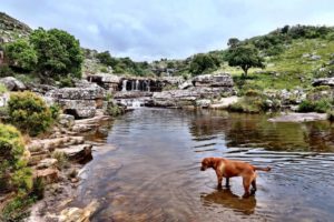 wild coast south africa accommodation protea ridge