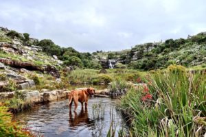 wild coast south africa accommodation protea ridge