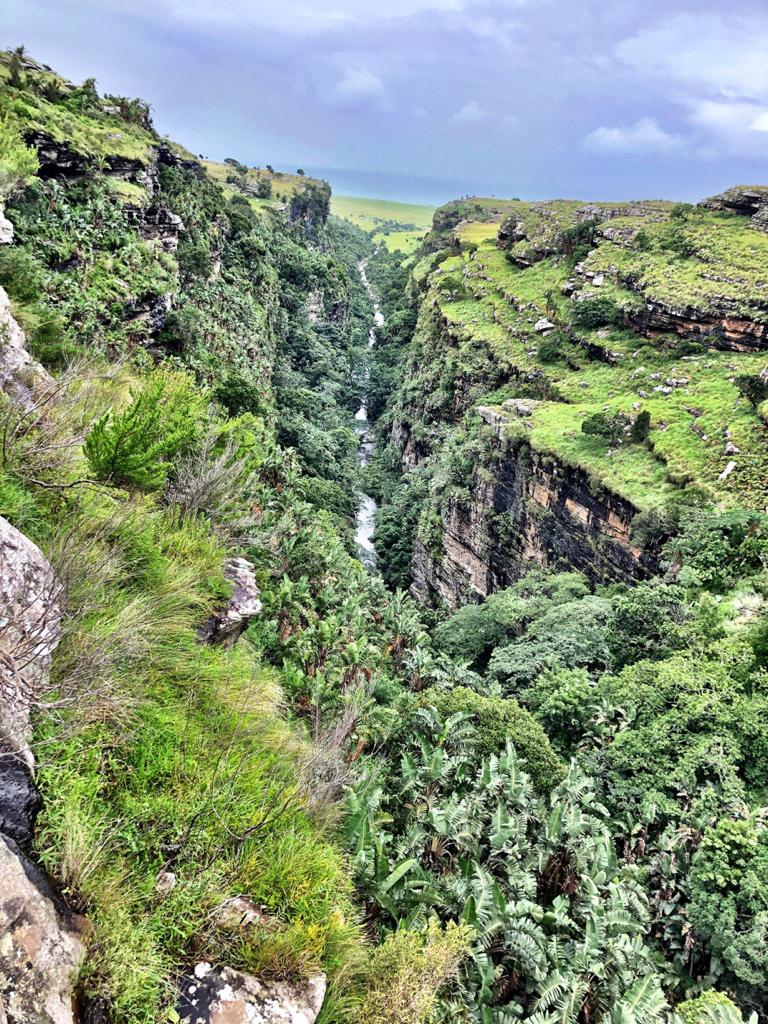 Hiking and Trail Running Protea Ridge