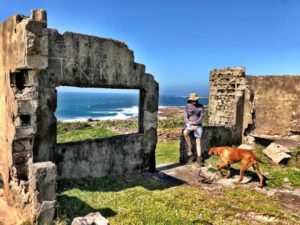 Hiking and Trail Running Protea Ridge