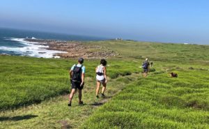 wild coast south africa accommodation protea ridge