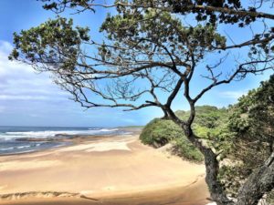 wild coast south africa accommodation protea ridge