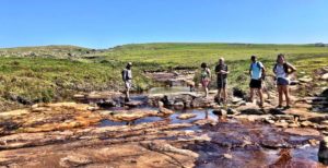 wild coast south africa accommodation protea ridge