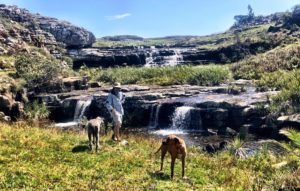 wild coast south africa accommodation protea ridge