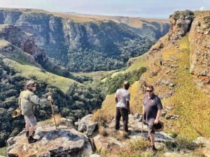 Protea Ridge Hiking