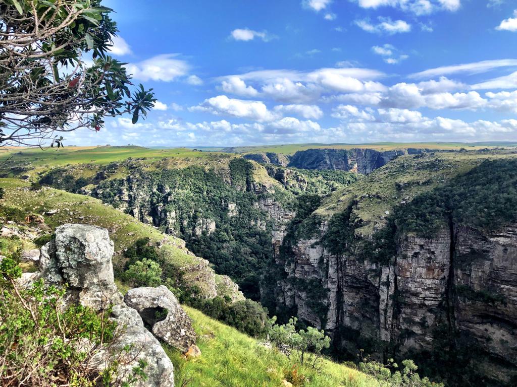 wild coast south africa accommodation protea ridge