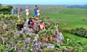 Hiking and Trail Running Protea Ridge