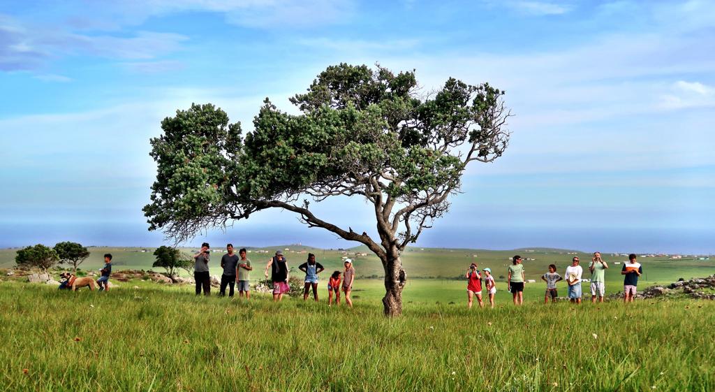 Protea Ridge Hiking