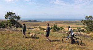 wild coast south africa accommodation protea ridge