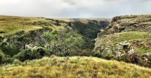 wild coast south africa accommodation protea ridge