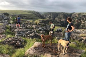 wild coast south africa accommodation protea ridge