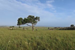 wild coast south africa accommodation protea ridge