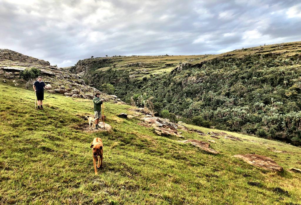 Protea Ridge Hiking