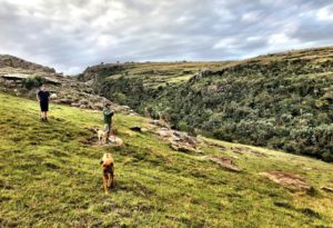 wild coast south africa accommodation protea ridge