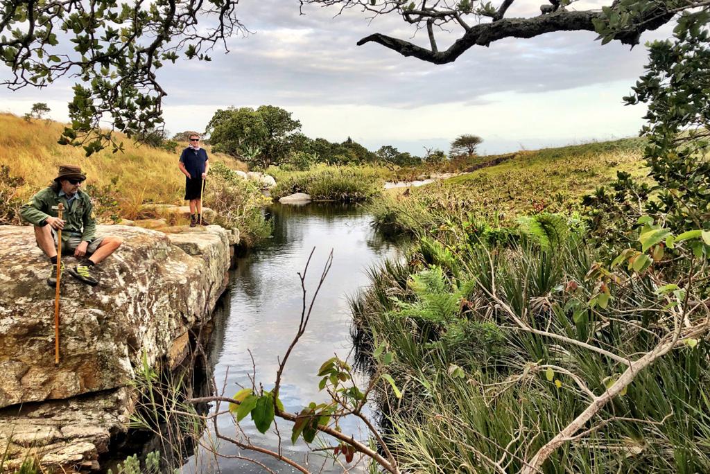 Protea Ridge Hiking