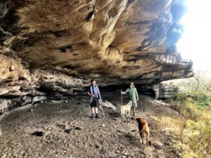 Protea Ridge Hiking