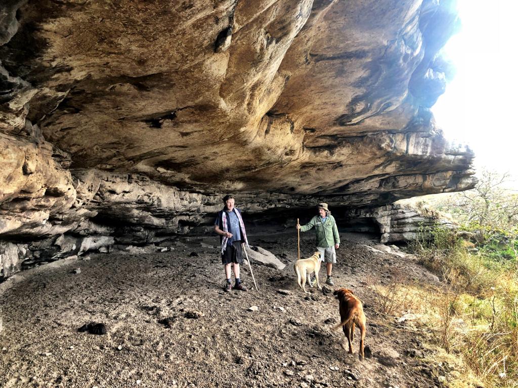 Protea Ridge Hiking