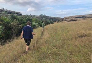 Protea Ridge Hiking