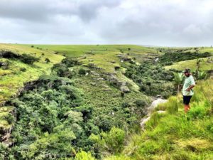 Protea Ridge Hiking