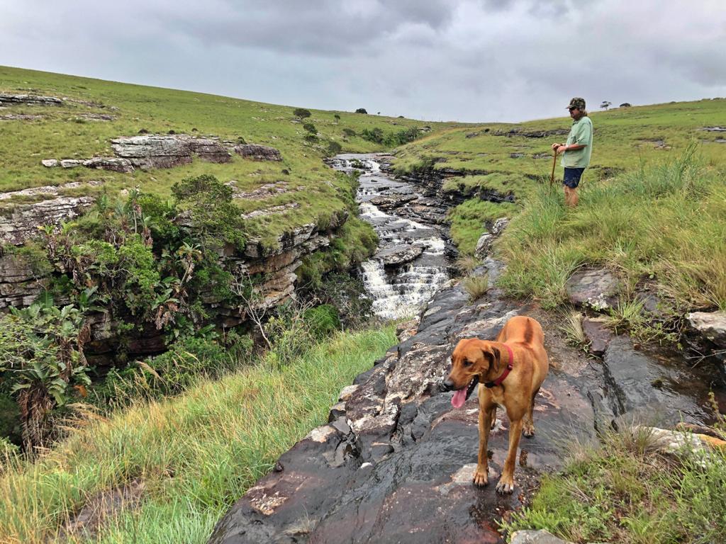 Hiking and Trail Running Protea Ridge