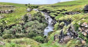 wild coast south africa accommodation protea ridge