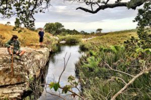 wild coast south africa accommodation protea ridge