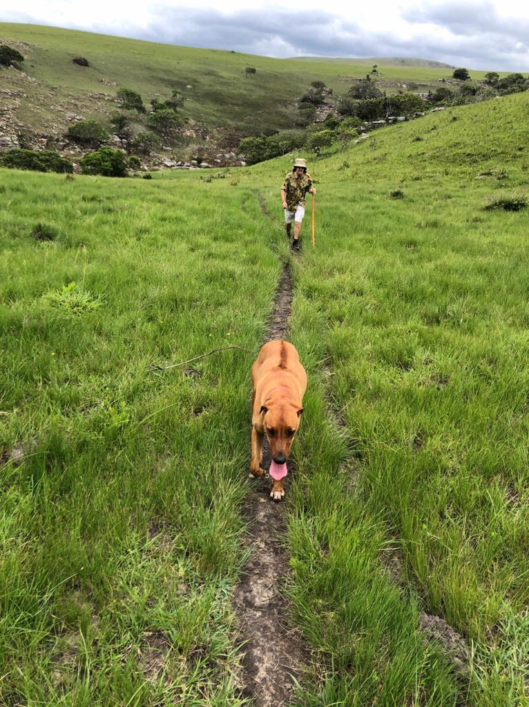 Protea Ridge Hiking