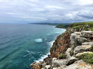 Protea Ridge Hiking