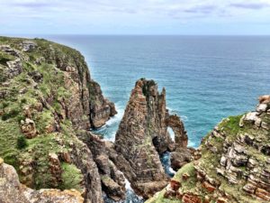 Protea Ridge Hiking