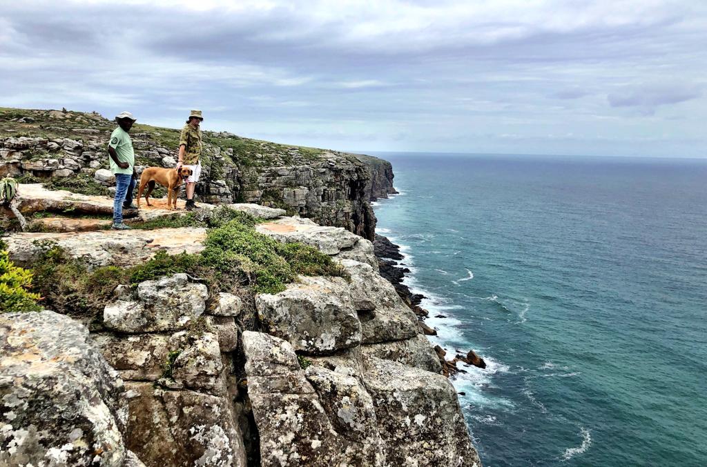 Protea Ridge Hiking