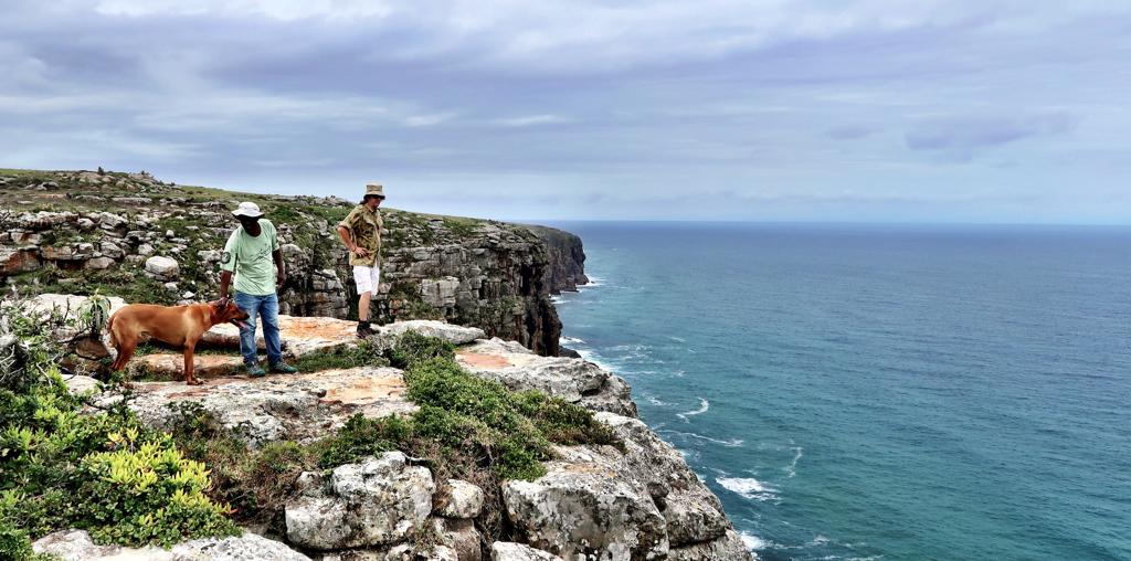 Hiking and Trail Running Protea Ridge