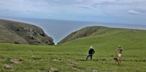 wild coast south africa accommodation protea ridge