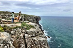 wild coast south africa accommodation protea ridge