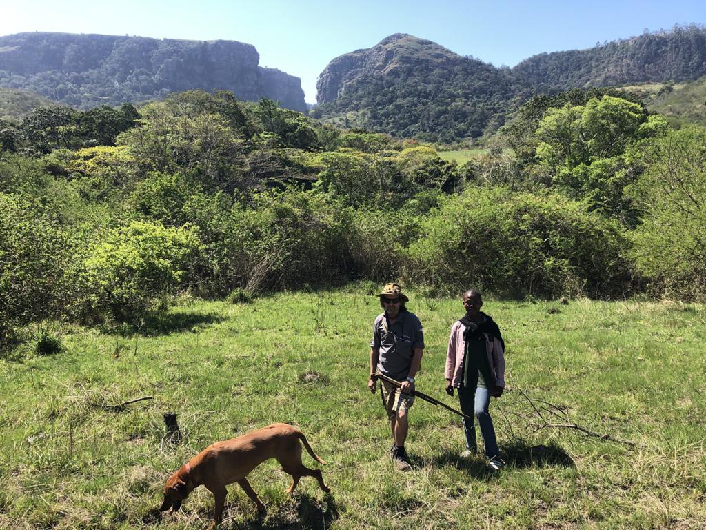 Protea Ridge Hiking