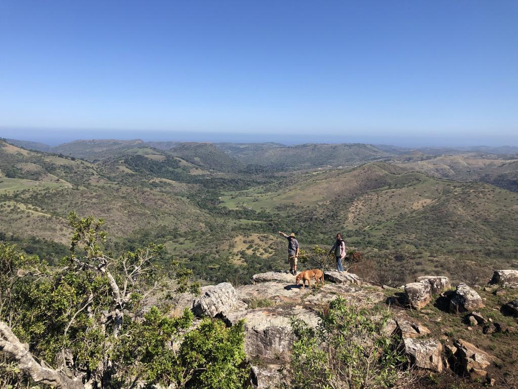 Protea Ridge Hiking