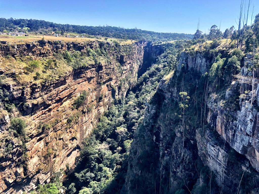 Protea Ridge Hiking