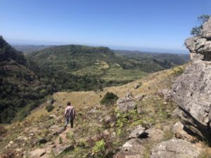 Protea Ridge Hiking