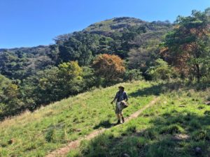 Protea Ridge Hiking