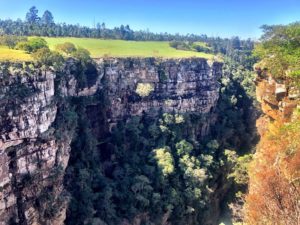 Protea Ridge Hiking