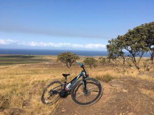 Protea Ridge Mountain Biking