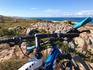 Protea Ridge Mountain Biking