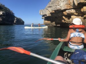 Protea Ridge Canoe