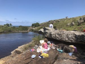 Protea Ridge Waterfall