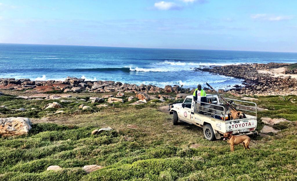 Protea Ridge Fishing